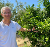 Salvatore Rugna mit einem Orangenbaum - Corigliano Calabro